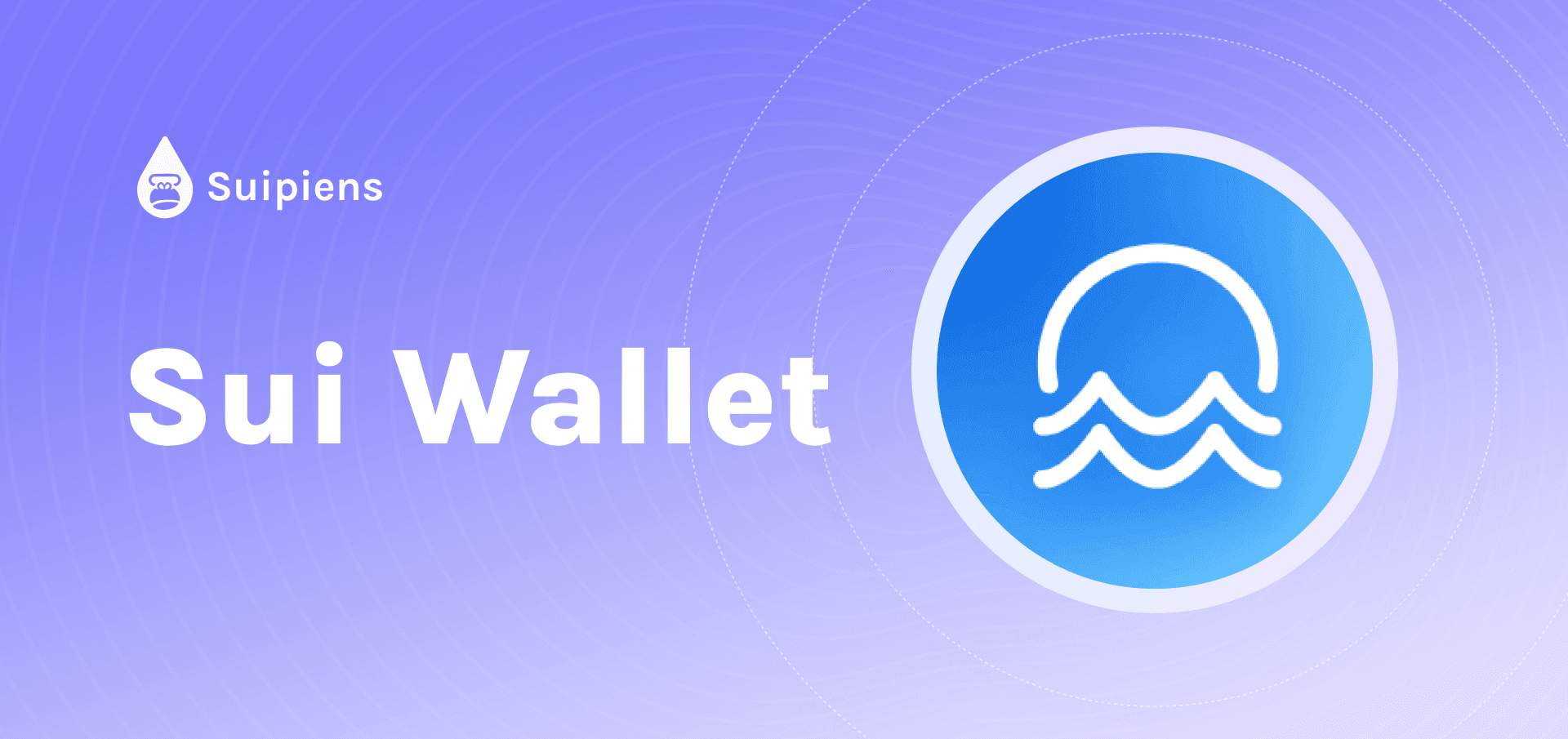 What is Sui Wallet? How to download and use Sui Wallet?